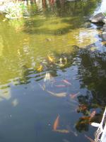 Chiang Kai Shek-Gedächtnisstätte