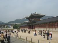 Und schon sind wir in Südkorea... der Gyengbok-Palast