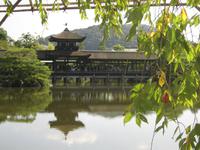 Die Natur ist der beste Maler...