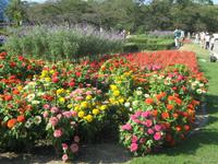 Im Botanischen Garten von Kyoto