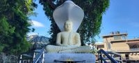 71 Buddha Figur in Kandy