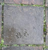 0258b Grabstätte König Tu  Ðuc - historische Fährte