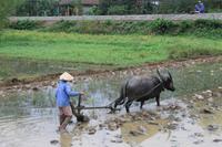 0267 Richtung Wolkenpass
