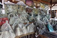 0391b Mekong Einhorninsel.JPG