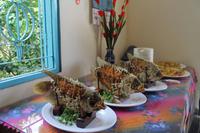 0420b Mekong - Einhorninsel - Elefantenohrfisch VORHER.JPG