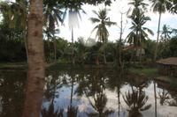 0458Siem Reap -Abseits der Asphaltstraßen zum Tonle Sap .jpg