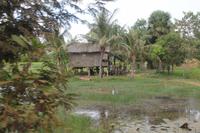 0459 Gebiet Siem Reap -Abseits der Asphaltstraßen zum Tonle Sap .JPG