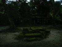 0482 Früh am Morgen zum Ta Promh - Urwaldtempel.jpg