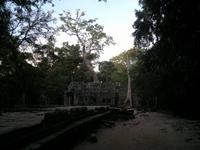 0483 Früh am Morgen Ta Promh - Urwaldtempel .jpg