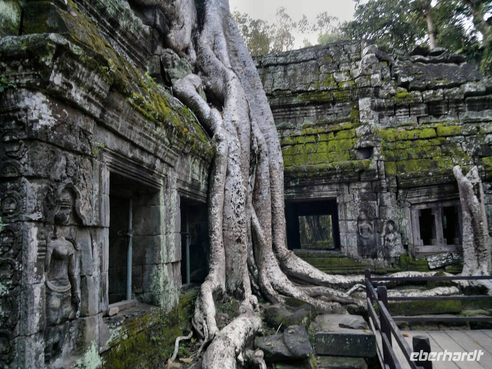 0486 Morgenstimmung am Tha Promh.jpg