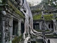 0486 Morgenstimmung am Tha Promh.jpg