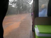 0568 Tropischer Guss.jpg