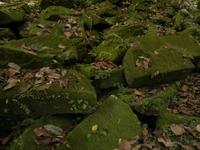 0573 Preah  Khan - Heiliges Schwert .jpg