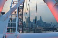 0632 Singapore-Flyer.jpg
