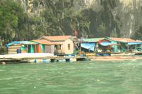 Halong Bucht