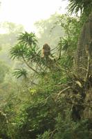 Morgenausflug in die Lagune