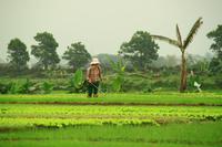 moderne Landwirtschaft