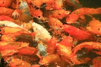 Im Kaiserpalast in Hue