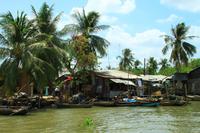 Im Mekong Delta