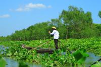 Im Mekong Delta