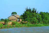 Im Mekong Delta