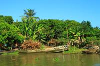 Im Mekong Delta