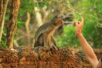 Sonnenuntergang am Bakeang