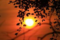 Sonnenuntergang am Bakeang