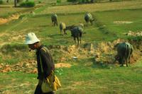 Überland in Kamboscha unterwegs
