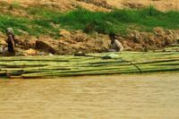 Auf dem Tonle Sap-See