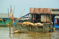 Auf dem Tonle Sap-See