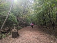 74) Haeinsa Tempel, Südkorea