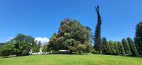 77 Botanischer Garten