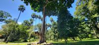 81 Botanischer Garten