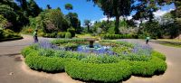 87 Botanischer Garten
