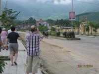 Wasserbüffel in freier Wildbahn