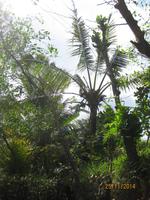 Mit dem Ruderboot durch das Mekong Delta