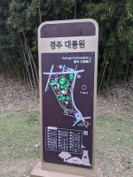 92) Grabhügelpark, Gyeongju, Südkorea