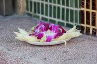 Orchideen als Spende im Bao an-Tempel