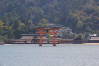 Das berühmte rote Tor vom  Itsukushima-Schrein - Japan