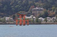Das berühmte rote Tor vom  Itsukushima-Schrein - Japan