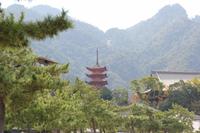 Miyajima-Insel - Japan