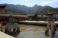  Itsukushima-Schrein - Japan