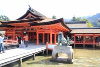  Itsukushima-Schrein - Japan