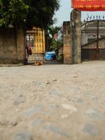 Hitzefühlig in Nordvietnam