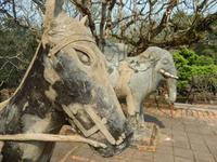 Stall für die Nachwelt - Grabstätte Tu Duc