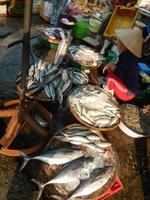 Fisch auf dem Dong Ba Markt