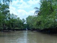 Rudern auf dem Mekong