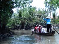 Rundern im Mekong Delta