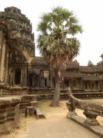 Angkor Wat